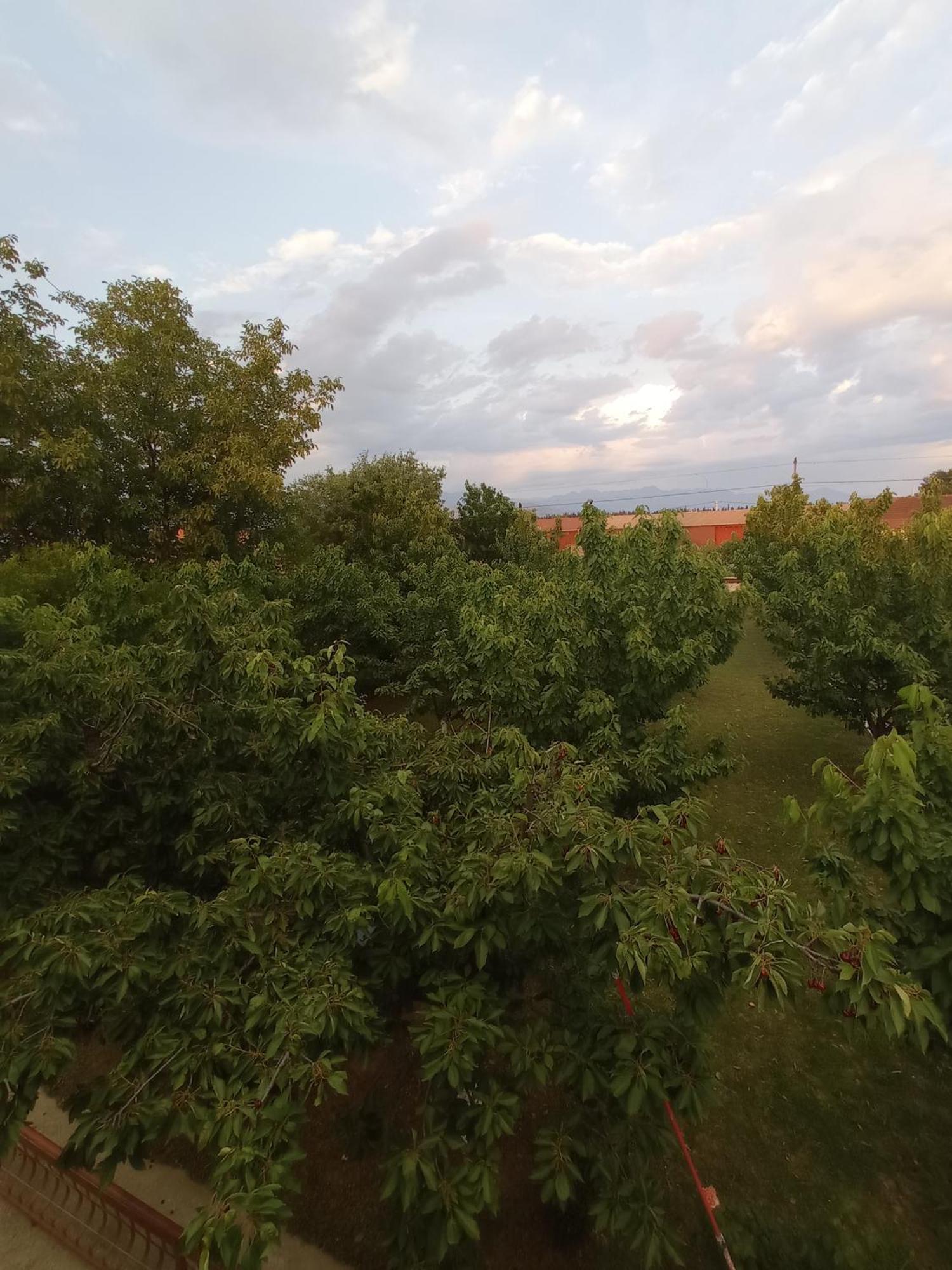 פודגוריצה Airport Home Radinovic חדר תמונה