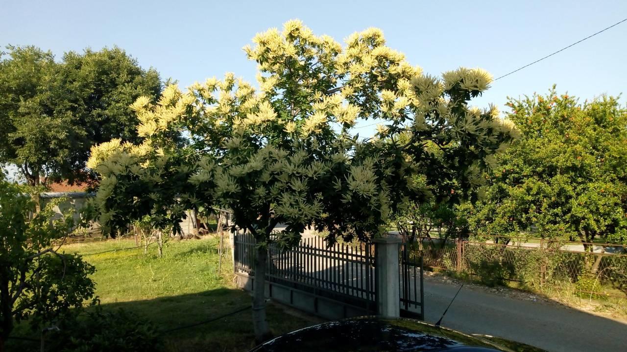 פודגוריצה Airport Home Radinovic מראה חיצוני תמונה