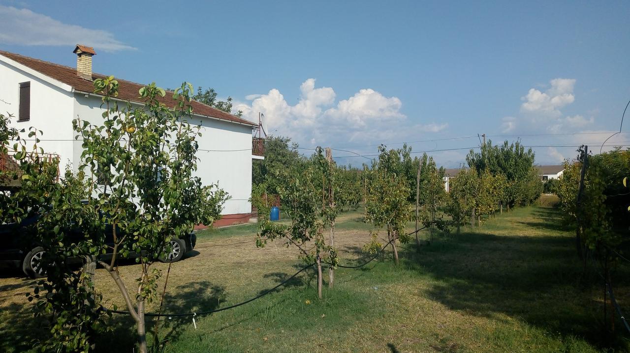 פודגוריצה Airport Home Radinovic מראה חיצוני תמונה